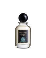 Nightology Intimate Elixir EDP 100Ml