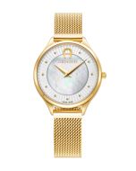 Aigner VELLETRI ladies watch stainless steel gold