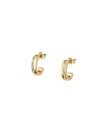 Morellato Creole Earring For Women , Golden