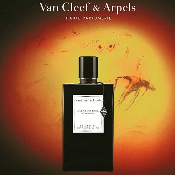 عطر فان كليف اند اربيلز عنبر امبريال اودى بيرفيوم 75 مل